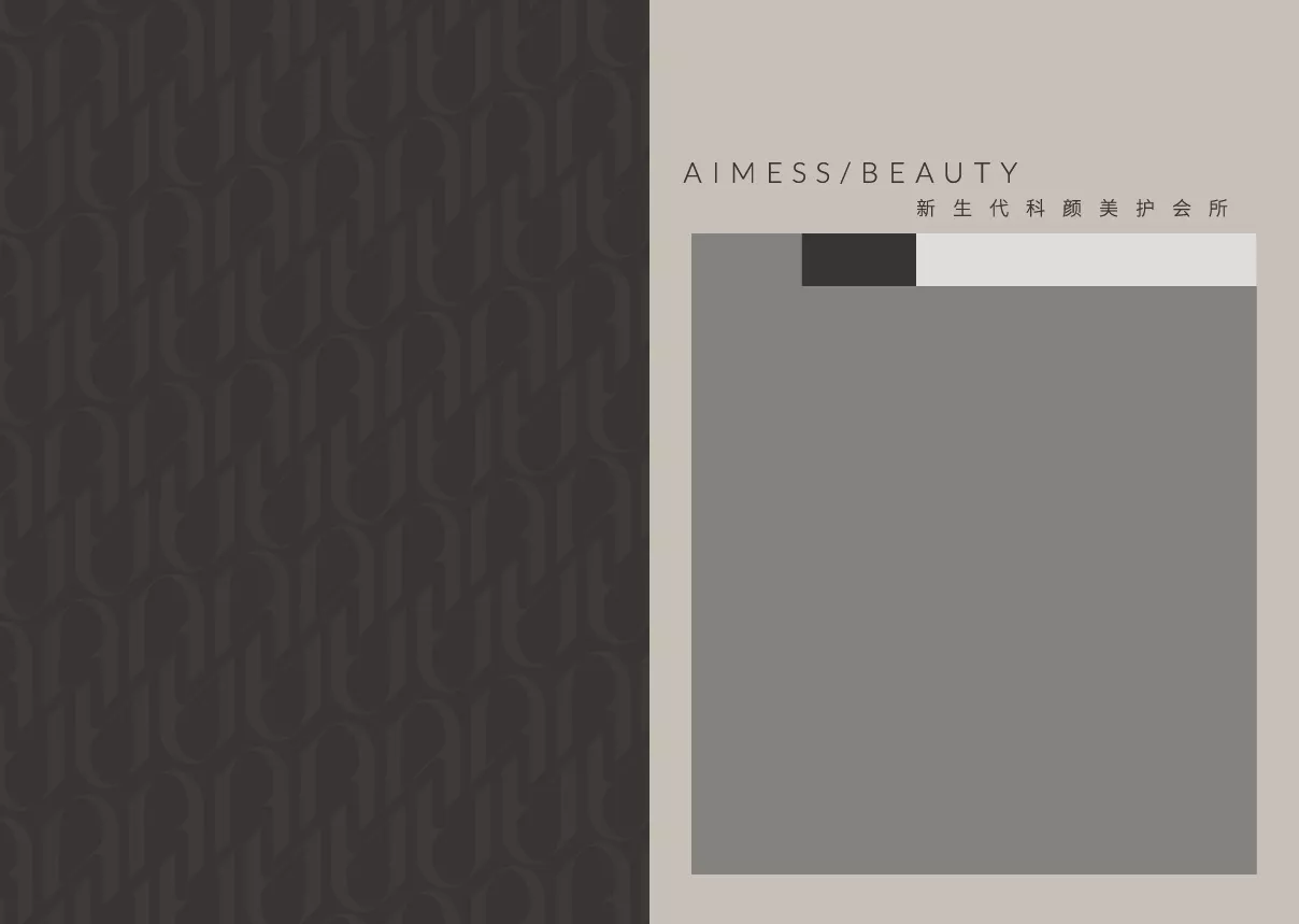 aimess 品牌手冊 轉曲-02.jpg